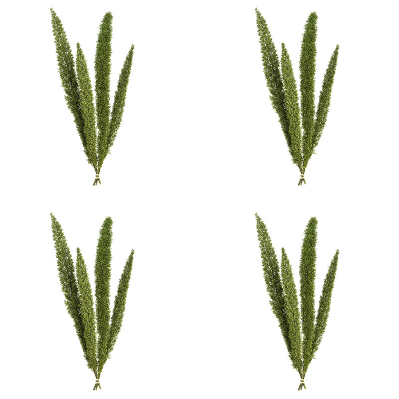 8'' Plant