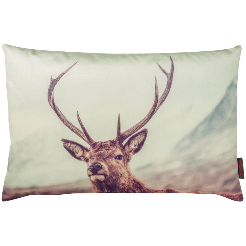 Coussin lombaire cerf Into The Wild