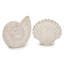 Trish Coastal Shell Polyresin Figurine Set of 2 – Decorative Sculptures for Home Decor, Living Room Tabletop & Shelf Accents - 7",  Distressed White & Beige