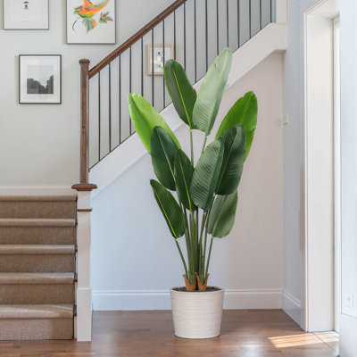 Oakgrove, fausses plantes, feuille de bananier, oiseau, paradis en pot en plastique noir