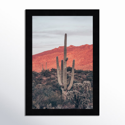 Sunsets and Saguaros Desert Photo Print