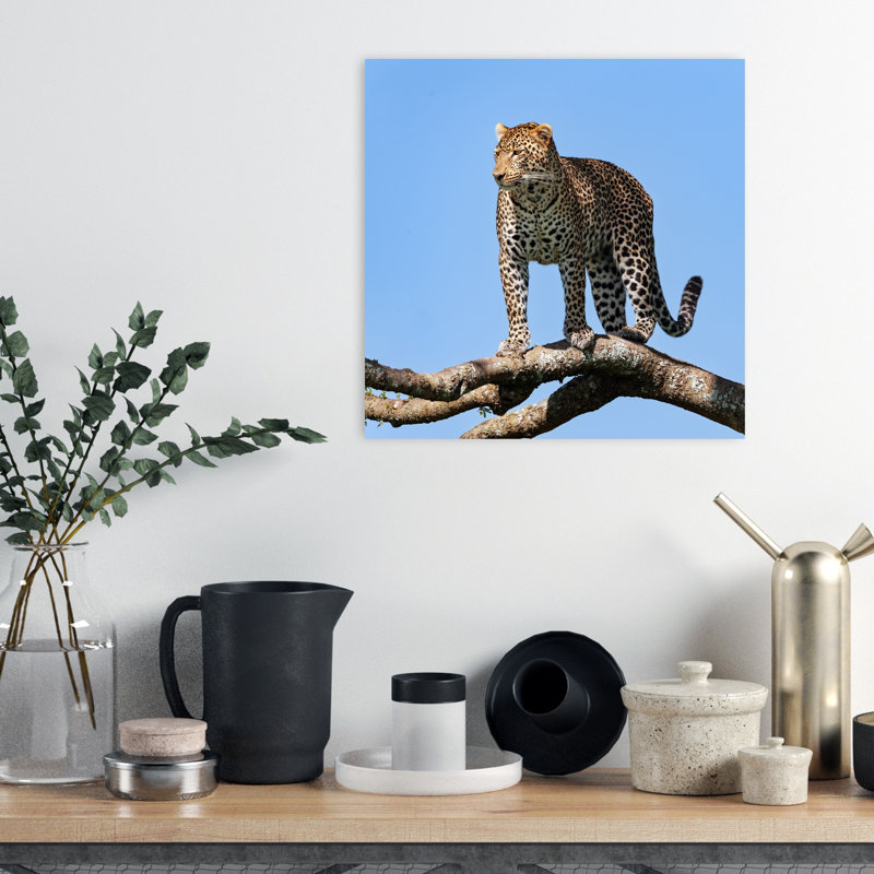 Print, 45.72cm H x 45.72cm W