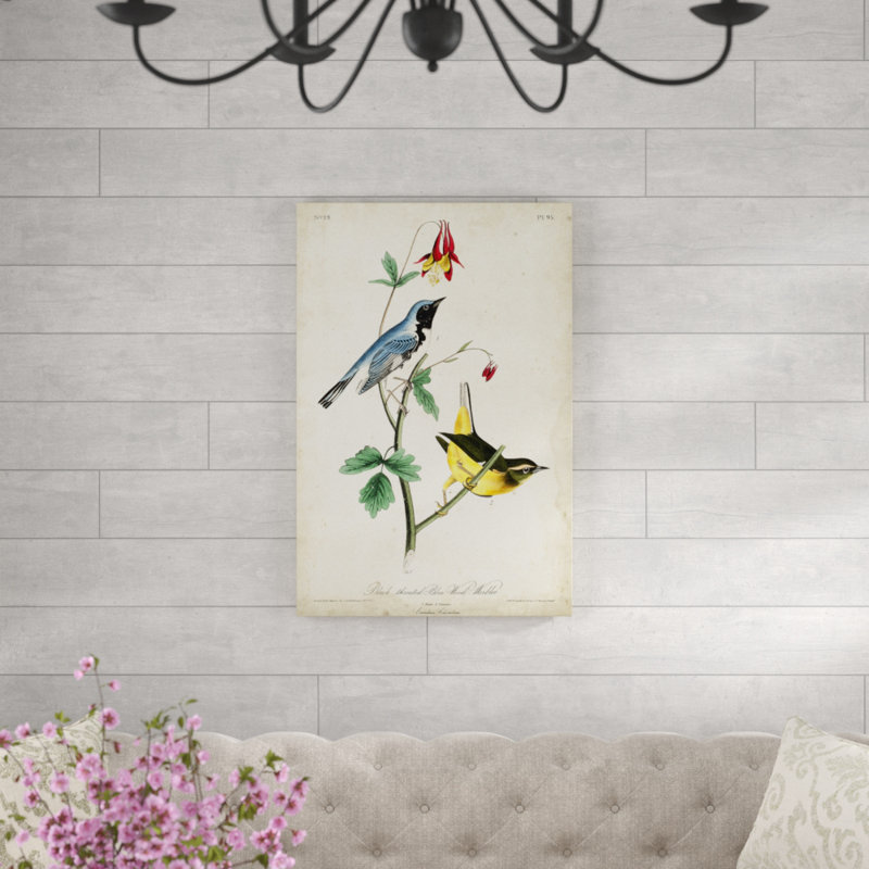 Black-throated Blue Wood Warbler by James Audubon - Wrapped Canvas Painting Print, 91cm H x 61cm W, Wrapped Canvas