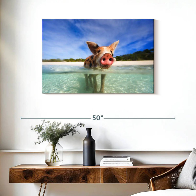 Brampt Pig In Exuma Bahamas, 24" H x 36" W