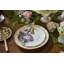 Wonderland Plates