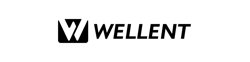 Wellent logo