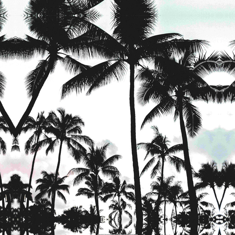 «Black and White High Contranst Palm Trees», reproduction sur toile tendue, H 30 po x l 30 po