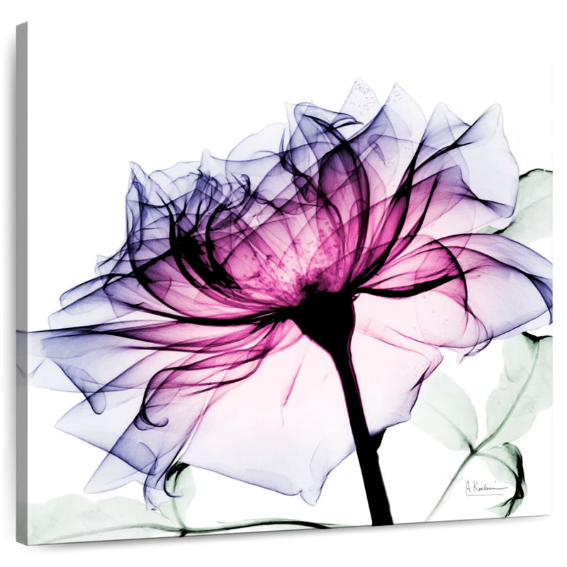 Harnek Leni Rose I, H 16 po x l 16 po
