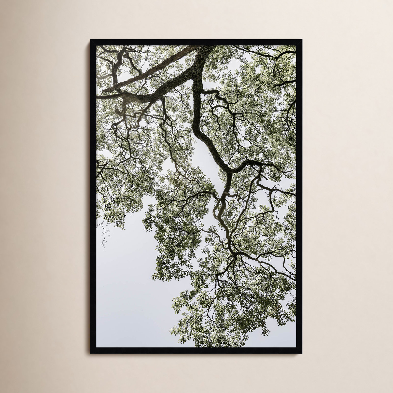 Pleasantville "Coastal Forest" Print, Black, 41" H x 28" W