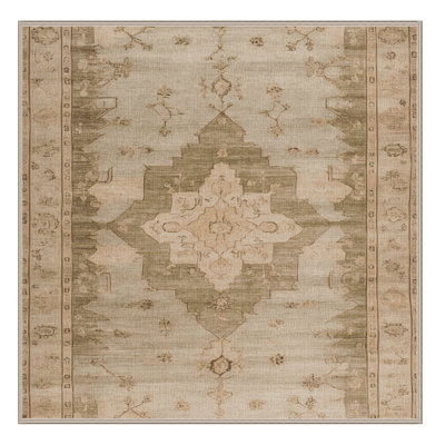Machine Washable Overdyed Beige Area Rug