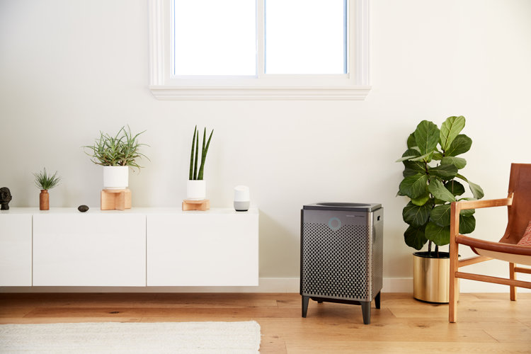 A console air purifier on the floor next to several house plants and an accent chair