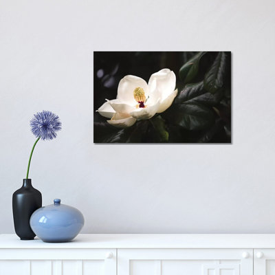 Magnolia I 1 Piece Wrapped Canvas Wall Art