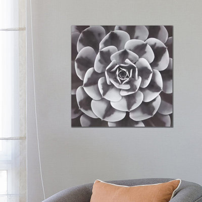Natural Design III by Assaf Frank - Wrapped Canvas Print