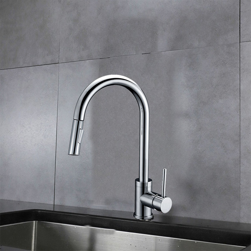 LITTLE TREE Pull Out Kitchen Faucet