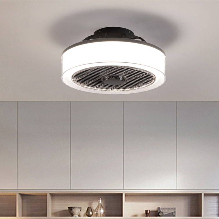Meenah 15'' Ceiling Fan with LED Lights