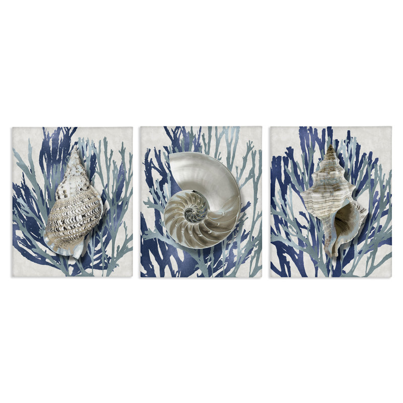 «Trio of Shells & Coral», ensemble de 3 toiles murales par Caroline Kelly, H 14 po x l 11 po