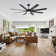 Sehjal 72 in. Matte Black Ceiling Fan with Remote, LED Light Kit and 8 Reversible Blades