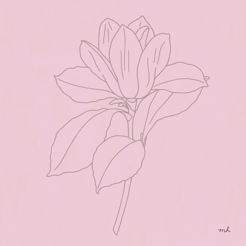 Magnolia dessin au trait rose, H 30 po x l 30 po