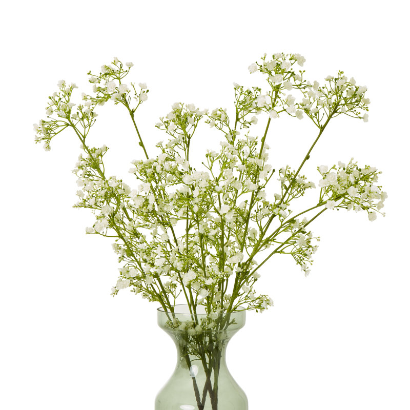 Anastasija Arrangement