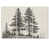 Toile tendue