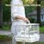 Aviaries Of Cage