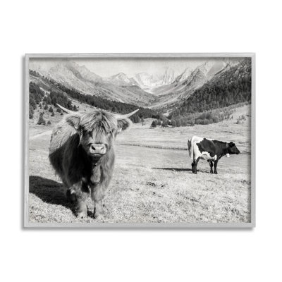 " Curious Ox Clueless Cow Sublime Farm Plains " by Danita Delimont