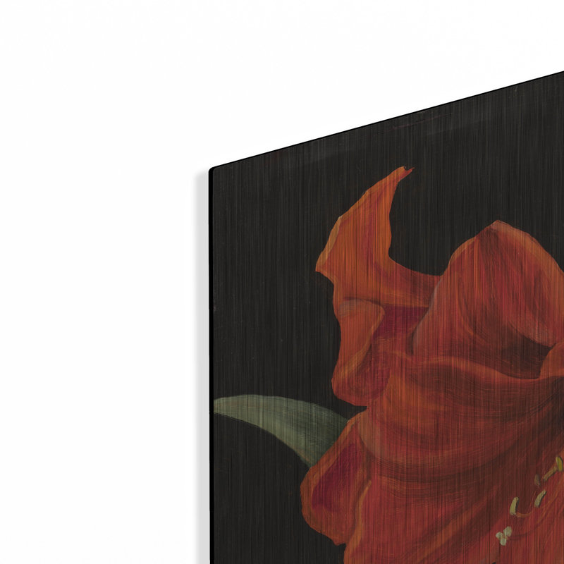 'Amaryllis' by Christopher Pierce, Metal Wall Art, 24" H x 36" W