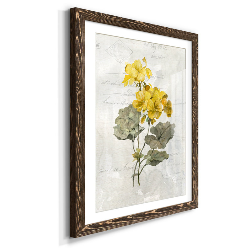 Zen Succulent III - Peinture encadrée sur papier, H 37,5 po x l 27,5 po x P 1,5 po, Noyer