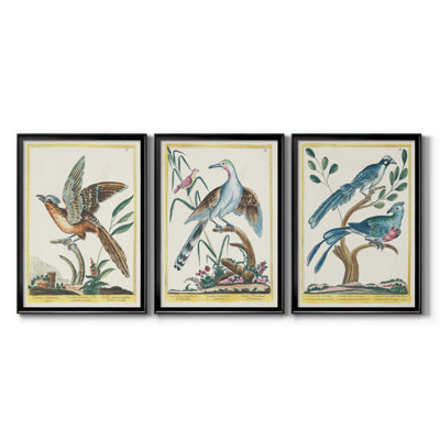 «Pastel Birds IV», reproduction encadrée de qualité supérieure - prête à être accrochée