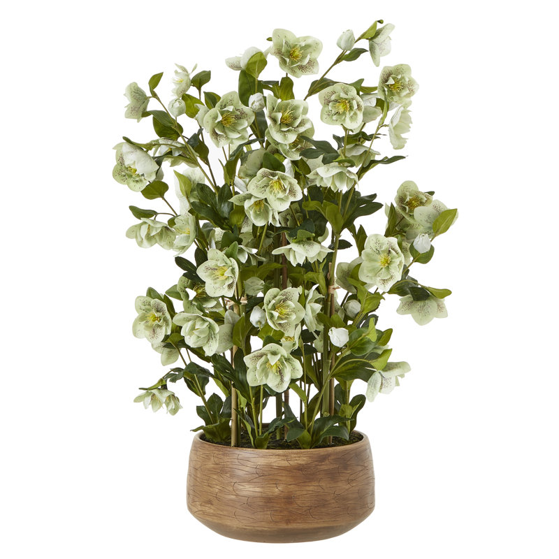 Arrangement in Pot, Tan, Green
