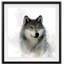 Rainsoft loup - reproduction de cadre photo-1609488566