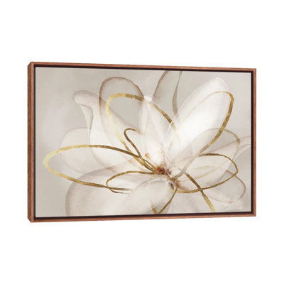 " Transparent Beauty III " by Eva Watts