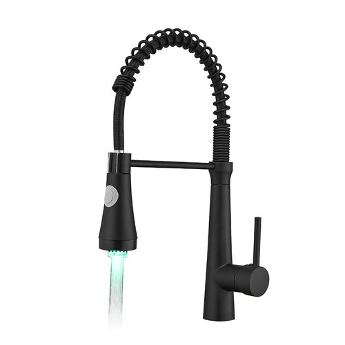 FLG Pull Down Kitchen Faucet & Reviews | Wayfair