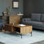 Bridgeview 47" Wide Modern Anjani Coffee Table With Slatted Door & Open Shelf Storage