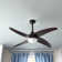 Frejus Ceiling Fan with LED Lights