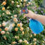 Outils de jardinage pour pulvérisateur de jardin à haute pression