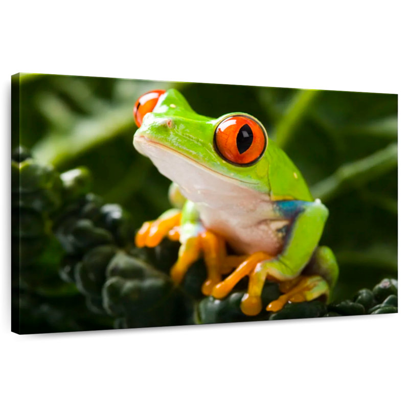 Brampt Tree Frog, 24" H x 36" W