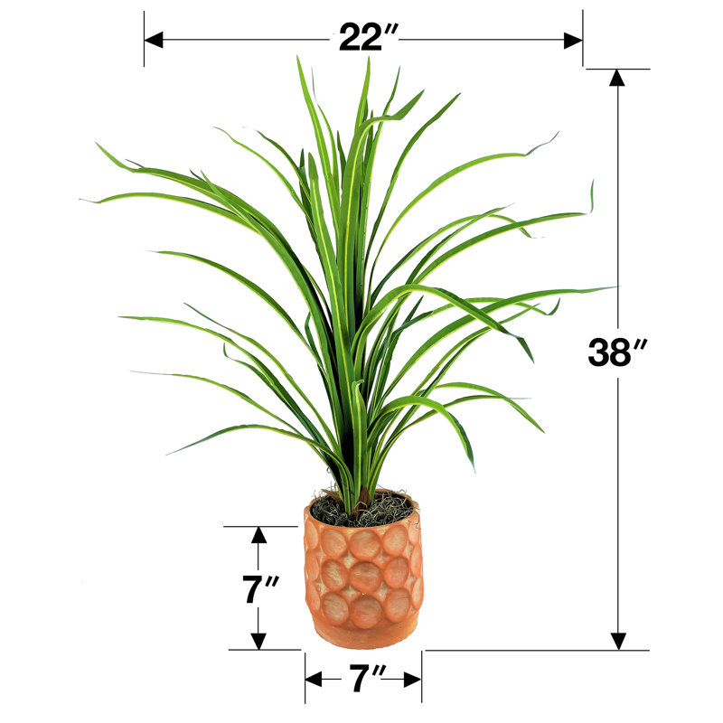 38'' Faux Dracaena Plant in Clay Planter
