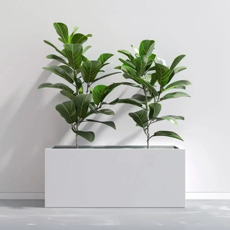 Reny Galvanised Zinc Trough Planter, White, 40cm H x 120cm W x 40cm D