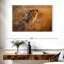 Adorables lionceaux Brampt-108819042