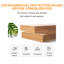 Classeur en bois Frydman-1022487610