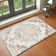 Oriental Area Rug