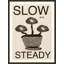 Slow And Steady 1 Print-1077277261