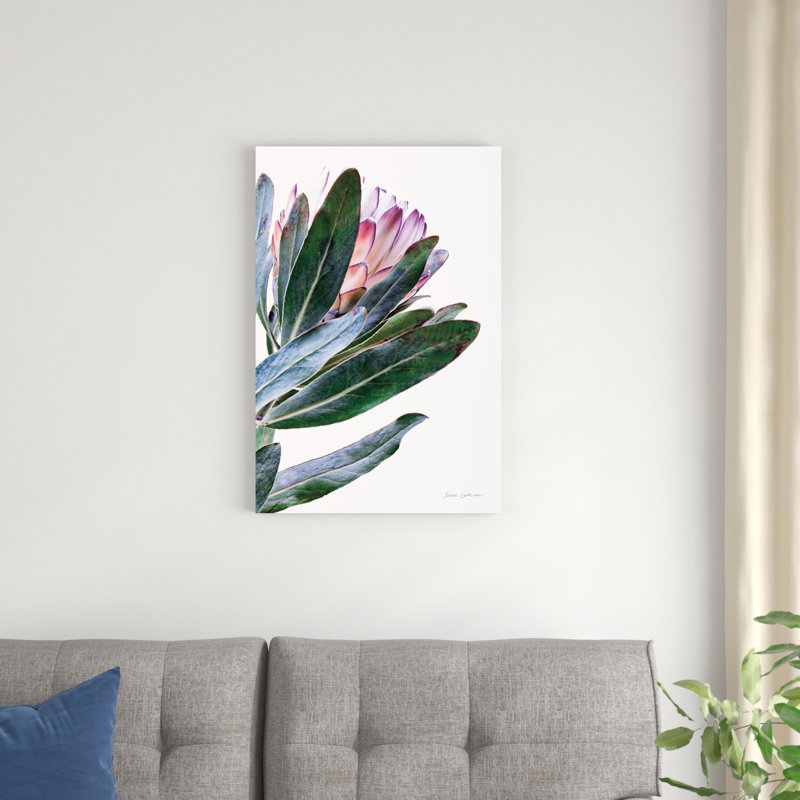 Protea In Leaf - Wrapped Canvas Print, 20" H x 30" W x 1.25" D