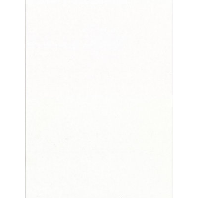 Rouleau de papier peint L 33 pi x l 20,5 po