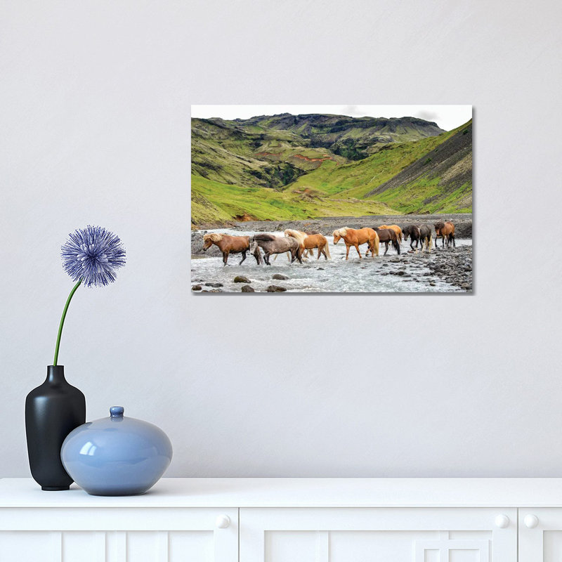 Collection Of Horses II by PHBurchett - Wrapped Canvas Print, 30.48 cm H x 45.72 cm W