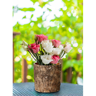 Vase de table 4,5 po Gamm