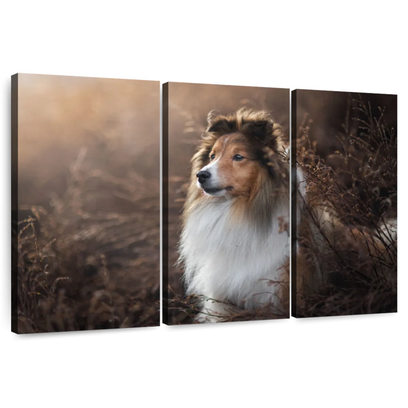 Brampt Gorgeous Sheltie Dog, 24" H x 38" W