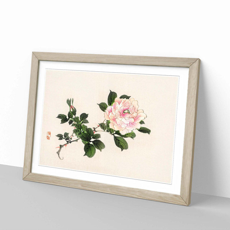 Pink Peony Flower by Kono Bairei - Framed Print, 35cm H x 50cm W x 2cm D, Oak
