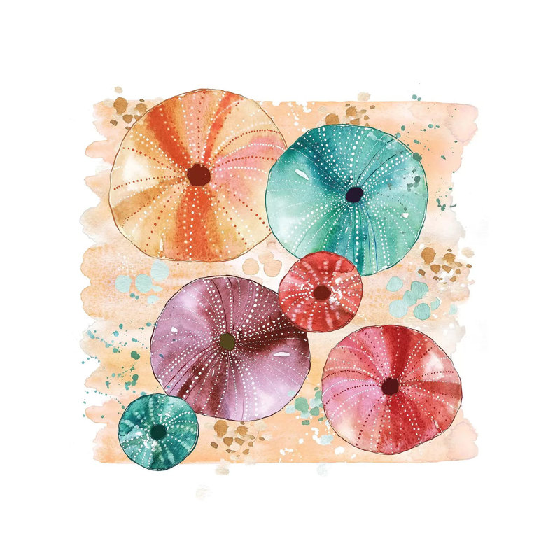 Beachcomber - Sea Urchins by Sara Berrenson - Print on Canvas, Wrapped Canvas, 30.48 cm H x 30.48 cm W